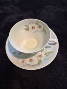 ​Vintage Bareuther Bavaria Germany Daisy Tea Cup and Saucer Set